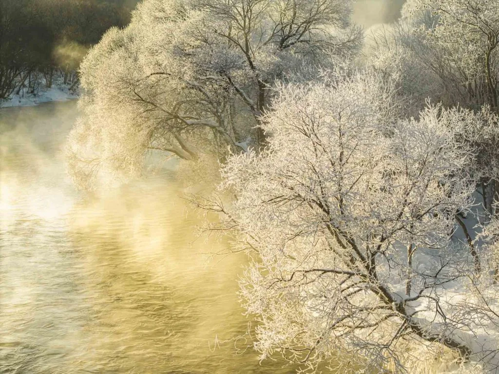 Harbin Winter Photo Tour – China – China photography tour photo 2