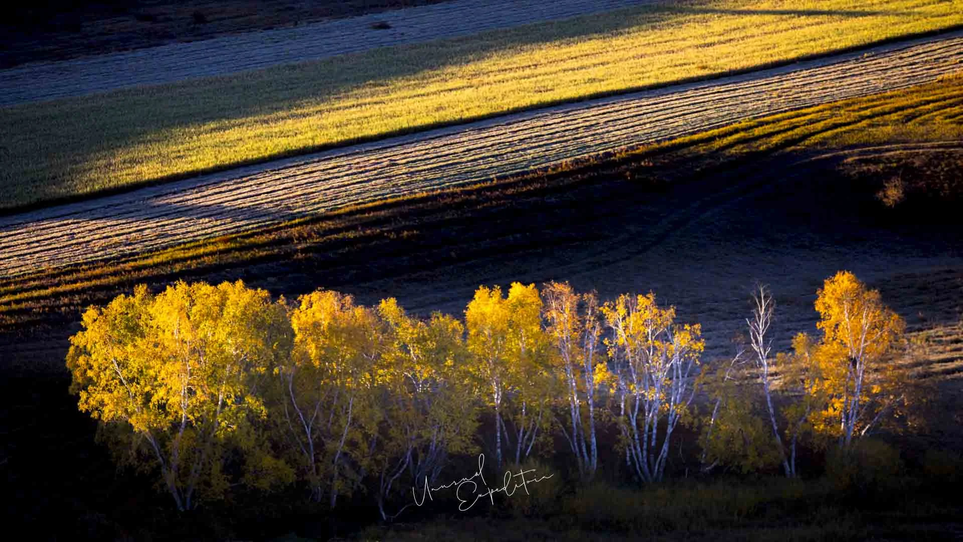 Inner Mongolia Autumn Photo Tour – China – China photography tour photo 1