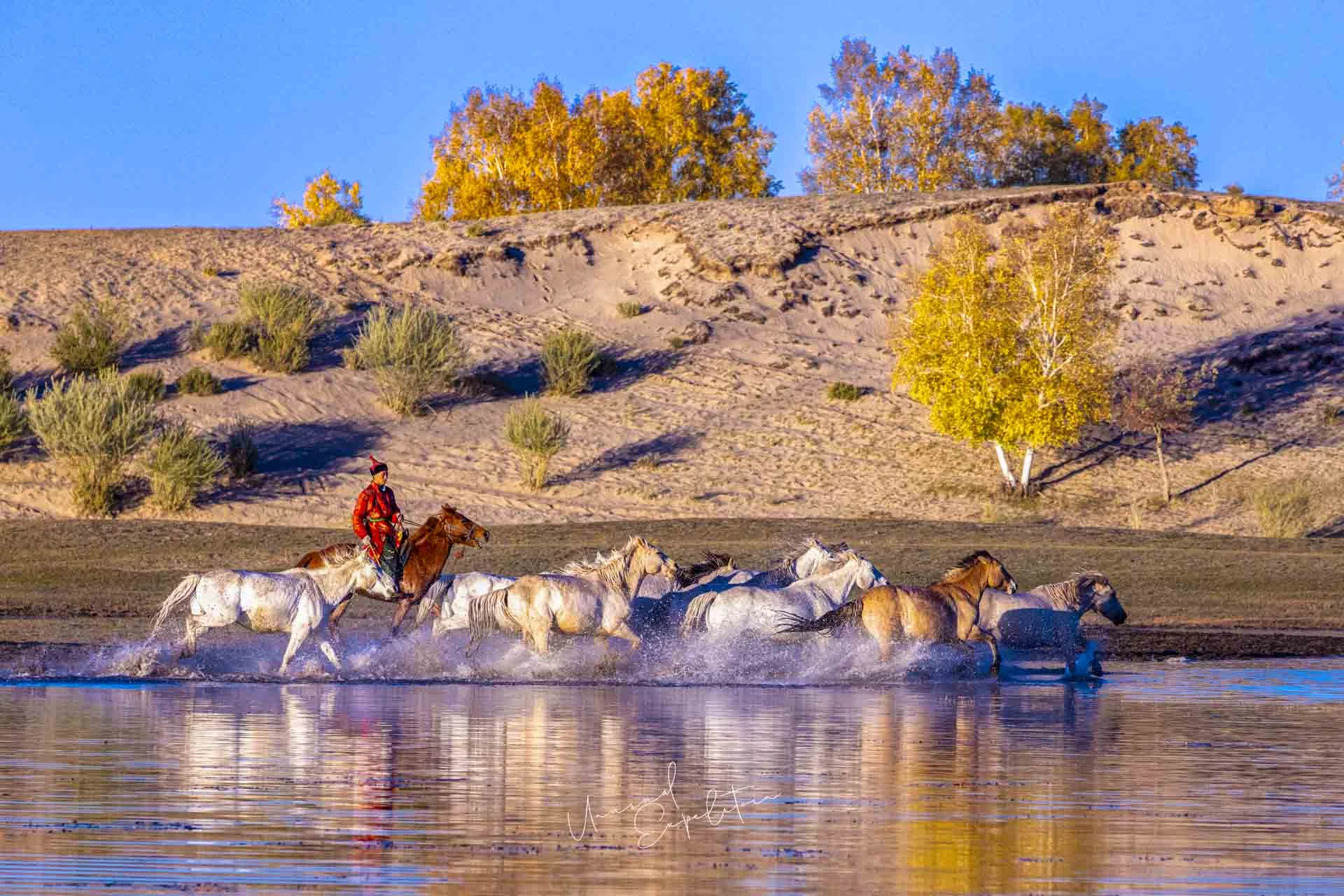 Inner Mongolia Autumn Photo Tour – China – China photography tour photo 2