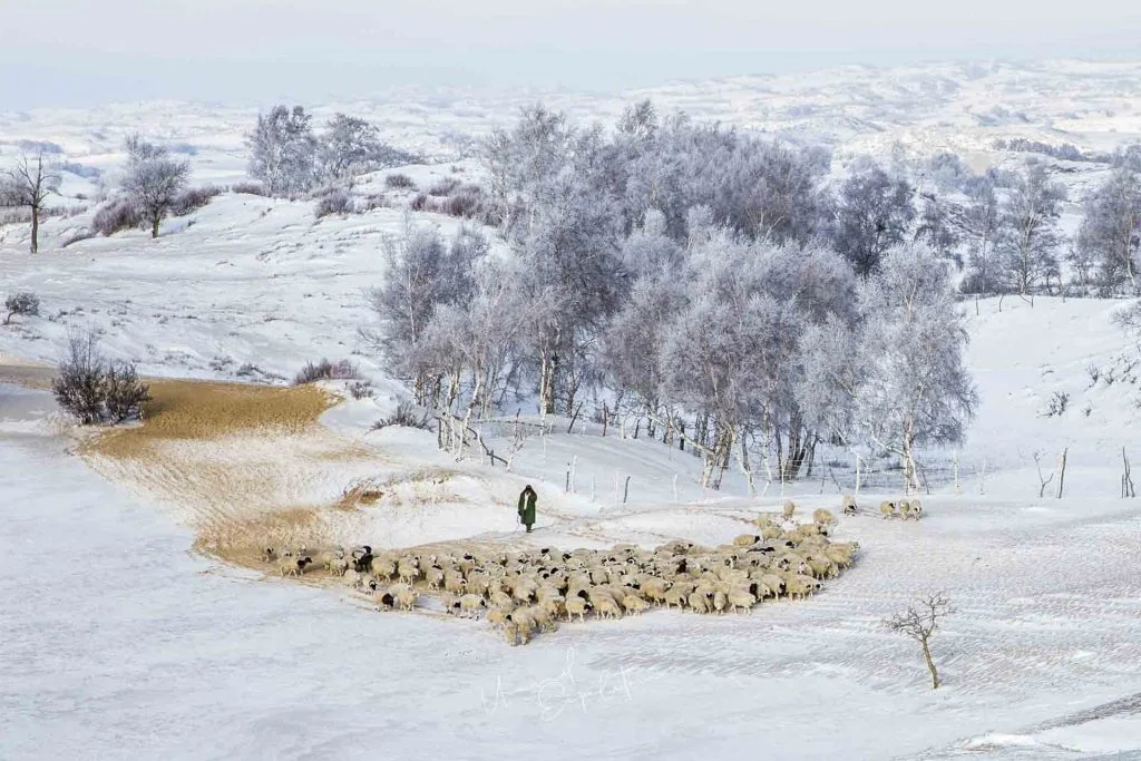 Inner Mongolia Winter Photo Tour – China – China photography tour photo 3