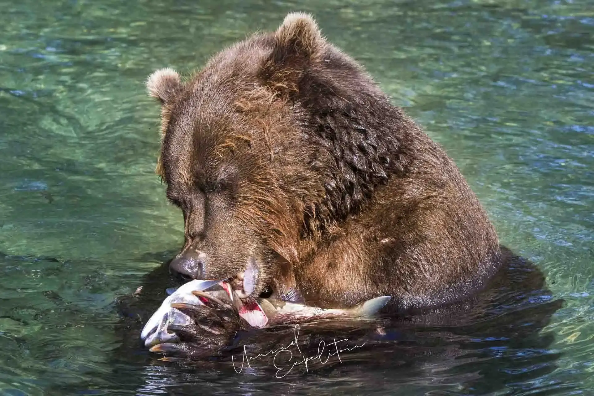 Kamchatka Photo Tour – Russia – Russia photography tour photo 1