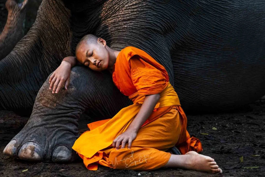 Laos Photo Tour – Laos photography tour photo 3