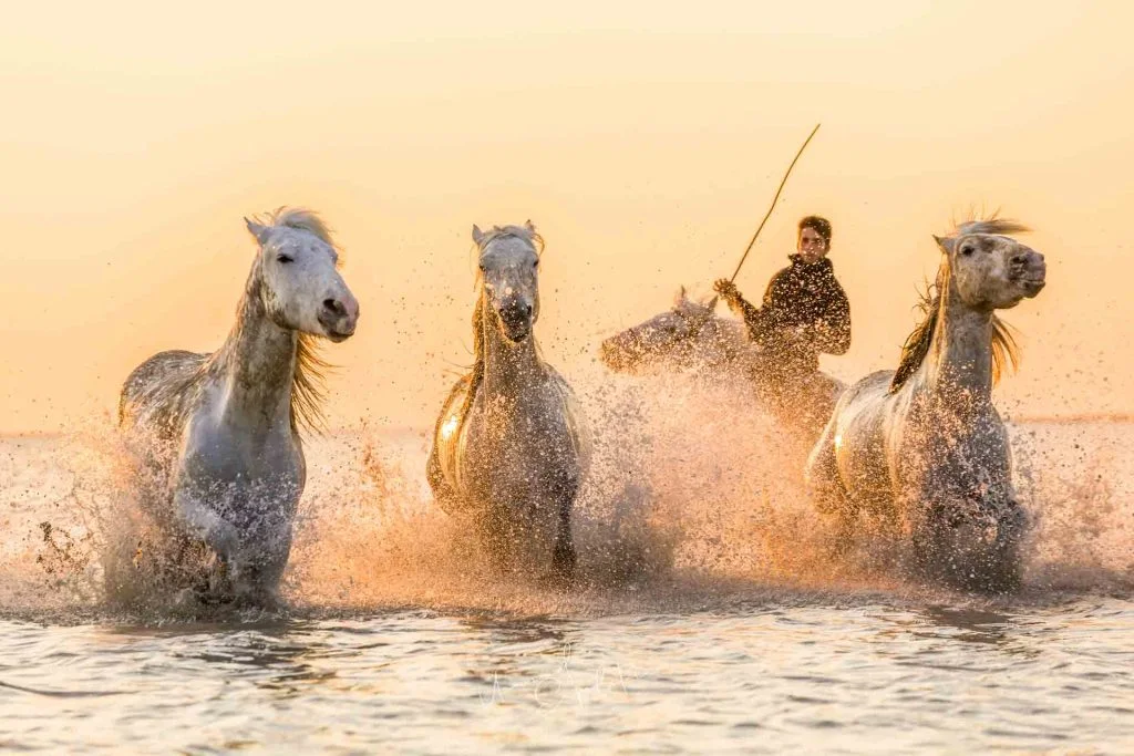 Provence And Camargue Photo Tour – France – France photography tour photo 2