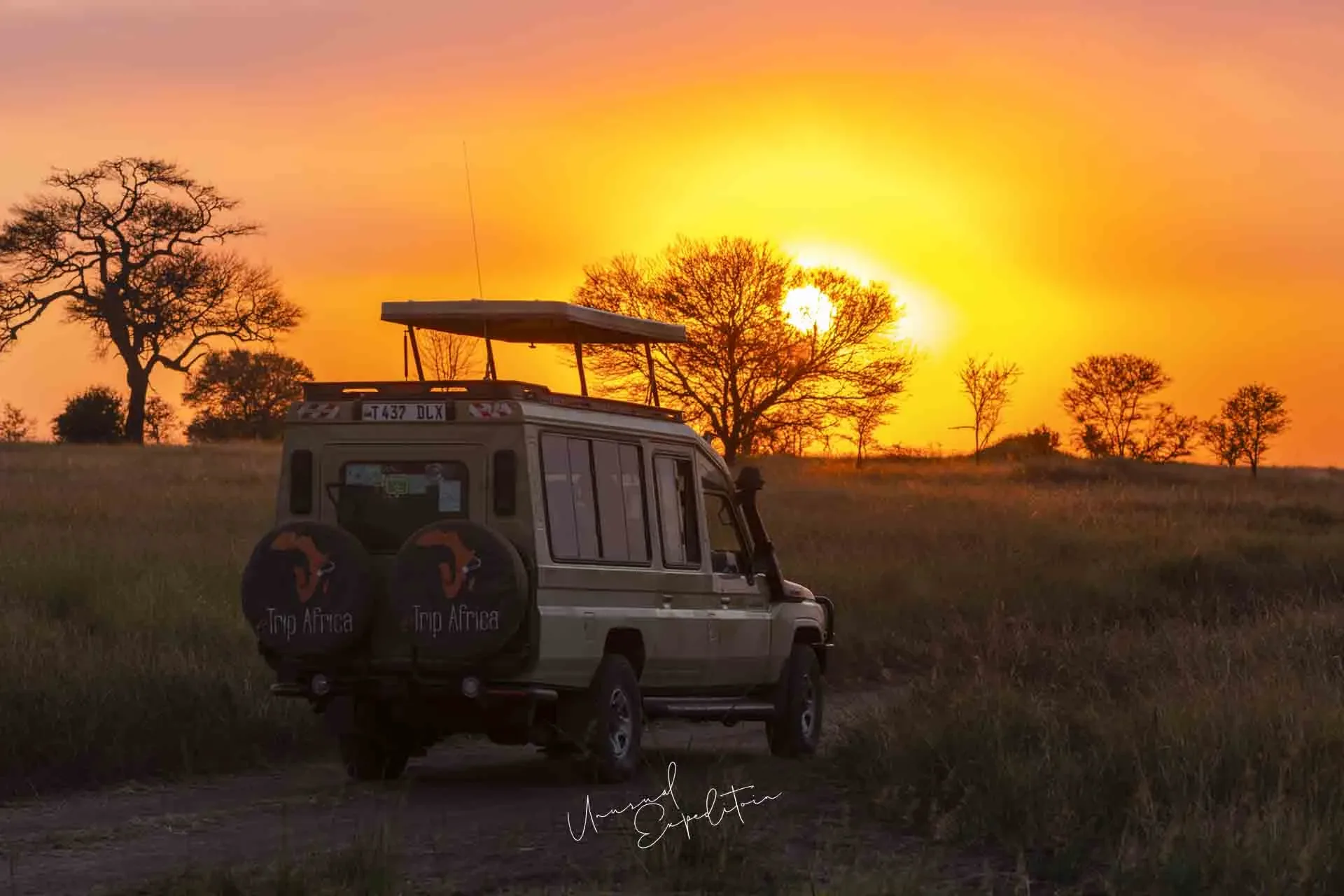 Serengeti Photo Tour – Tanzania – Tanzania photography tour photo 1